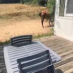 Appartement, Deux *