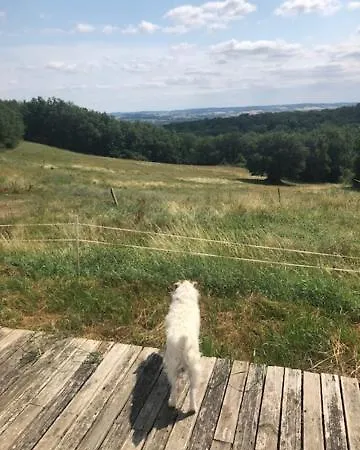 Appartement, Deux Damiatte