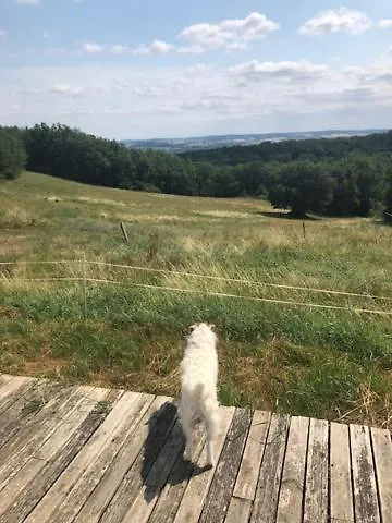 Appartement, Deux Damiatte
